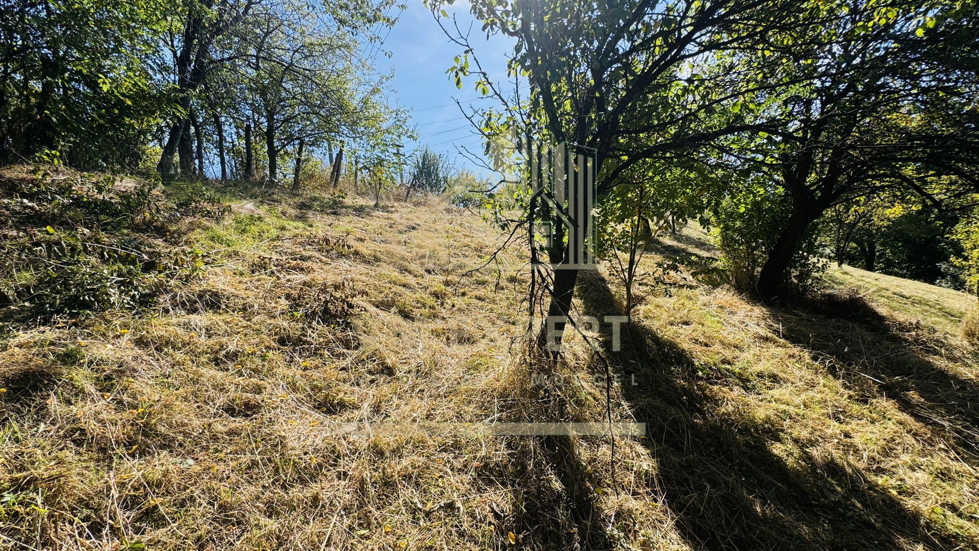 TEREN INTRAVILAN 3234 MP LEREȘTI VOINEȘTI ARGEȘ - Poză 33