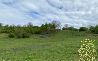 Teren Extravilan - Ghinda - 3.5000mp-Parcelabil - Poză 2