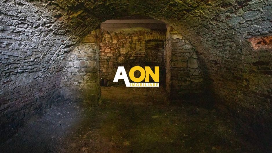 Casa de vanzare Vintu de Jos+ Casa mobila mobilata si utilata - Poză 9