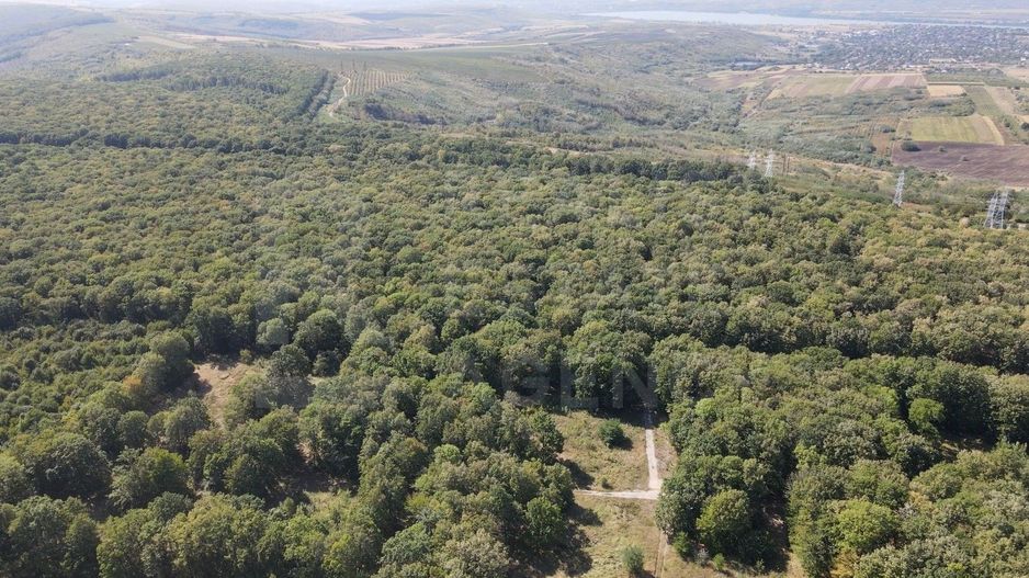 Vânzare, teren pentru construcție, 9.21 ha, Micăuți, Sireț - Poză 7