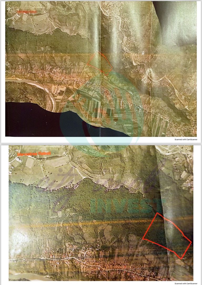 PADURE de vanzare - Berca -Buzau - Poză 4