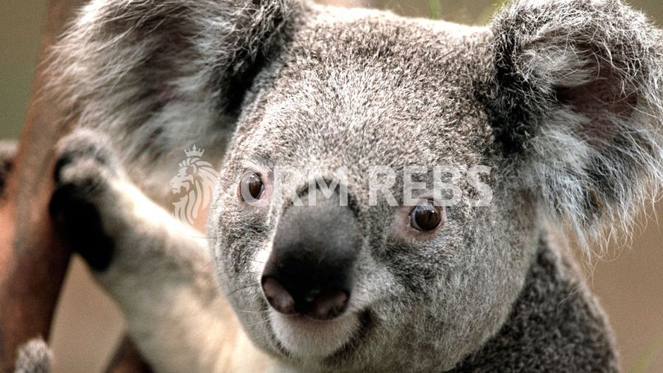 Apartament frumos de 74 mp - Poză 3