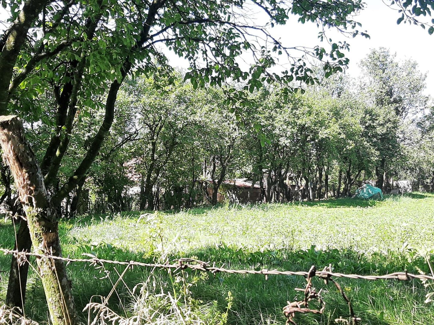 Teren de vanzare in Rediu - Poză 1