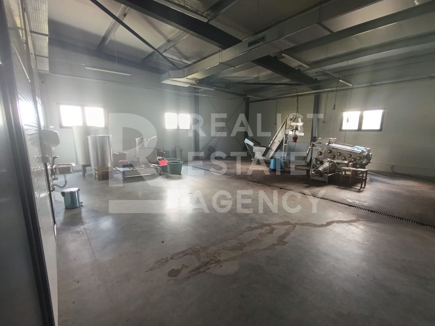 Spațiu comercial, producere+plantație de aronie, Timiș - Poză 6