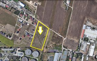 AUREL VLAICU - In spate la Raja! - Poză 2