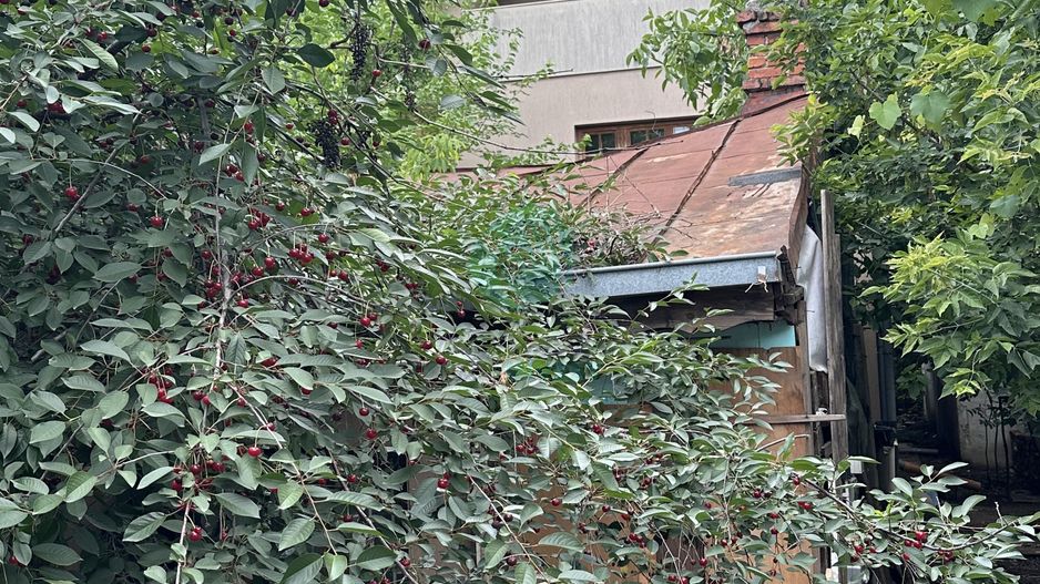 VILA cu potential de reamenajare- Teren 458 mp| - Poză 5