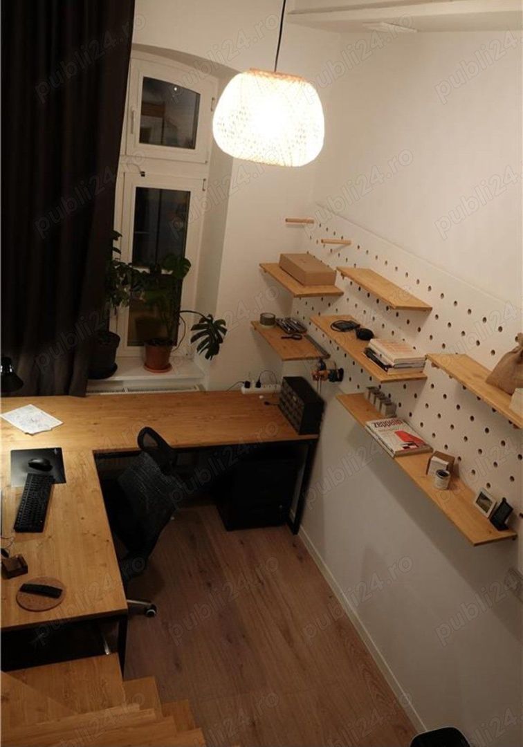 Apart deosebit pe malul Begai - Poză 6