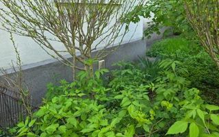 Apartament 2 Camere Lux Herastrau - Poză 4