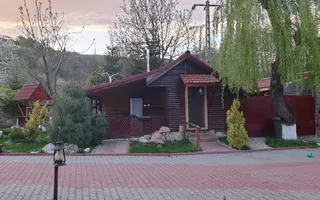 Vila Horezu Romanii de Jos - Poză 39
