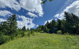 TEREN EXTRAVILAN DE VANZARE | CAMPULUNG MOLDOVENESC | 258.720€ - Poză 3