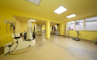 Proprietate mixtă cu spațiu comercial și locuință, Cristian - Poză 6