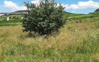 Teren de vanzare in Martinesti - Poză 2