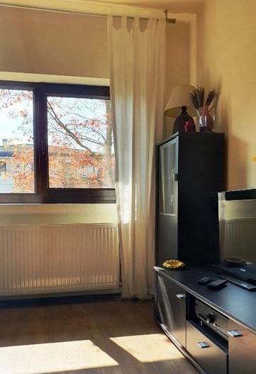 Vila langa padurea Baneasa, zona Liceul Francez, Sector 1, Bucuresti - Poză 13