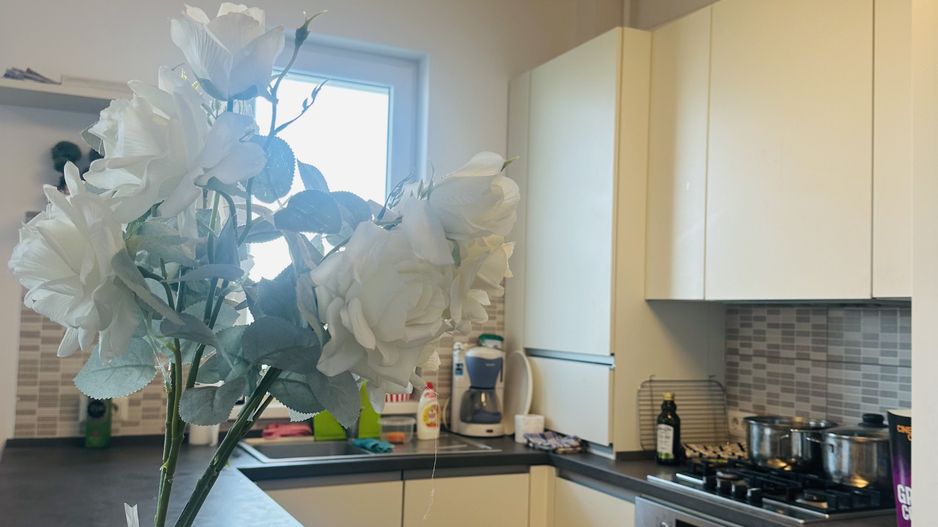 #Penthouse | Timisoara | #devanzare | - Poză 3