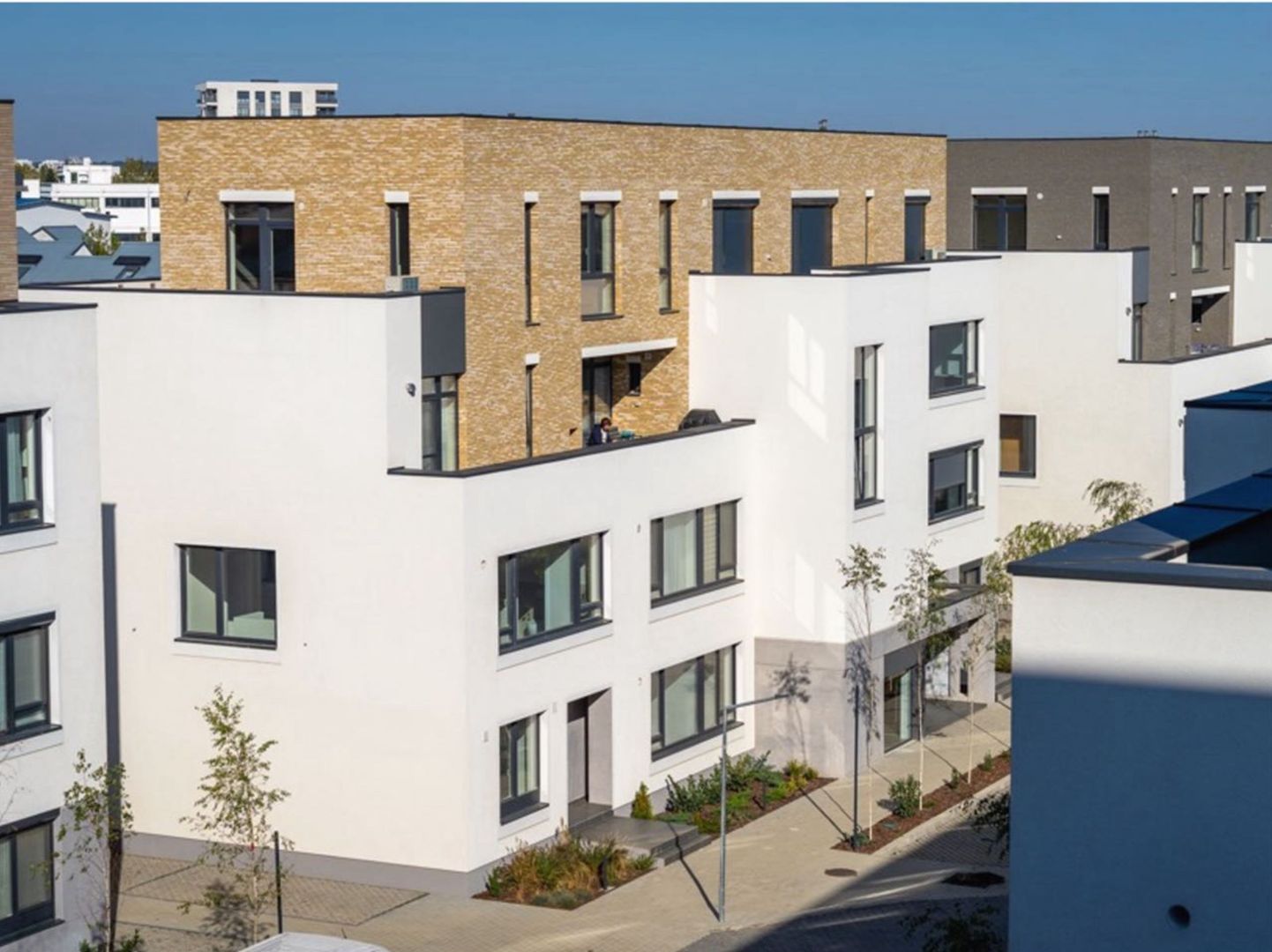 CATTED FAMILY - Poză 6