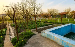 Casă individuală, teren generos de 1.348mp, poziție centrală, Giarmata - Poză 12