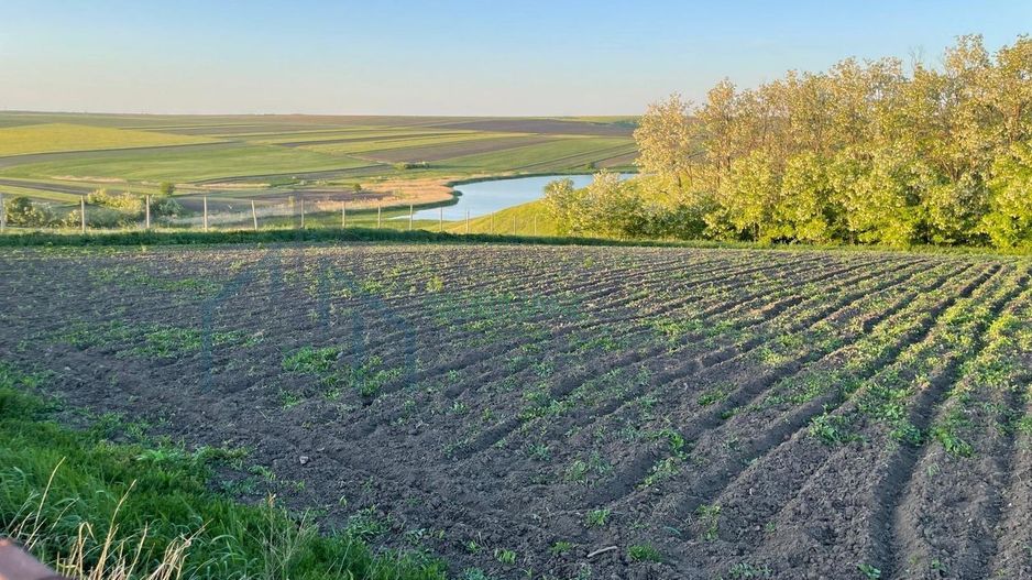 Intravilan preț mic - Poză 3