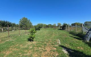 Casa 5 Camere 1700mp Teren, 10km de Alba Iulia - Poză 23