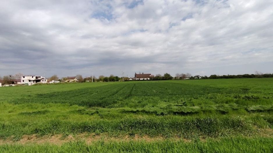 Intravilan pozitie excelenta - 15 minute de capitala - Poză 2