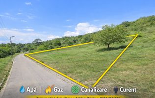 11.000 mp Teren intravilan Oradea str. Calea Adevărului