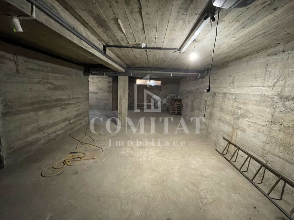 Casă de închiriat pentru sediu de firmă | zona Intre Lacuri - Poză 17