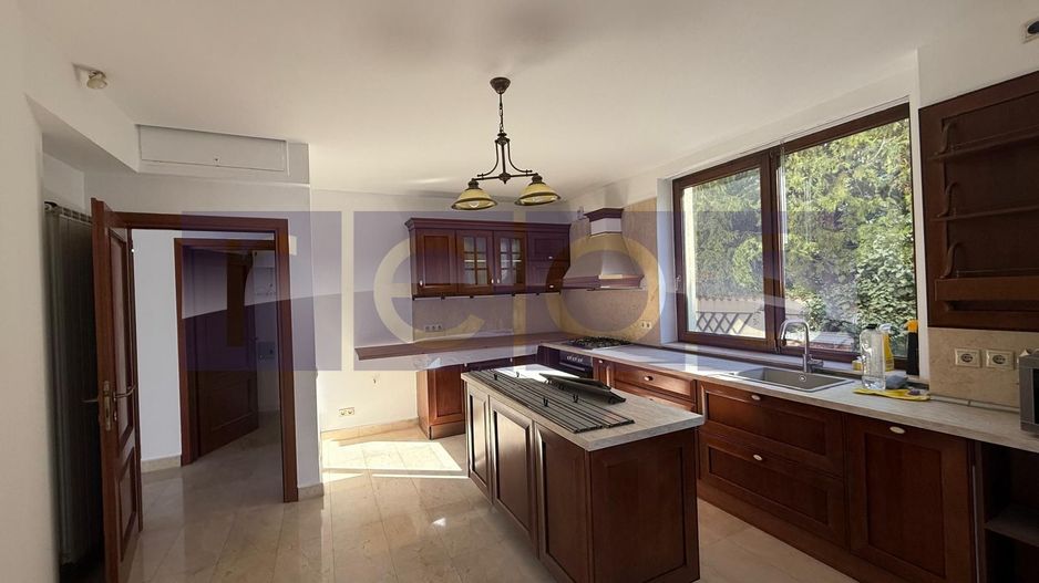 INCHIRIERE VILA DEOSEBITA EROU IANCU NICOLAE | PISCINA | 7 CAMERE | 1300MP CURTE - Poză 4