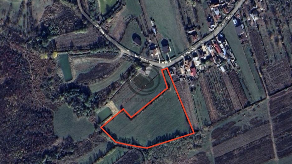 Teren Vanzare 11.000 MP Ghirdoveni | Comision 0% - Poză 3