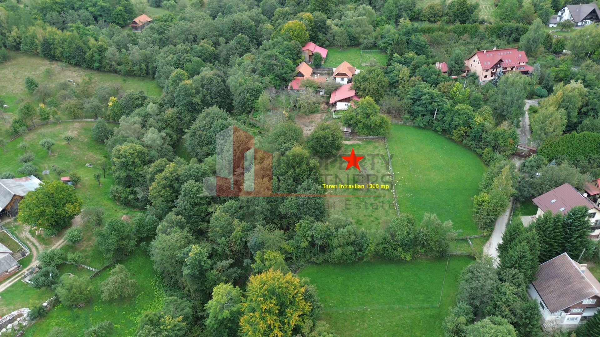 Teren intravilan 1.300 mp | Vedere Piatra Craiului | Bran Poarta - Poză 3