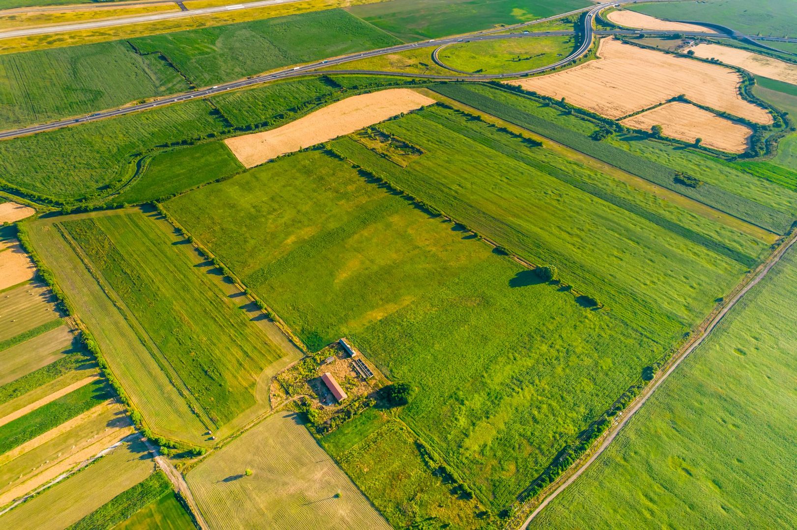 50 ha teren compact în Bujac - Poză 7