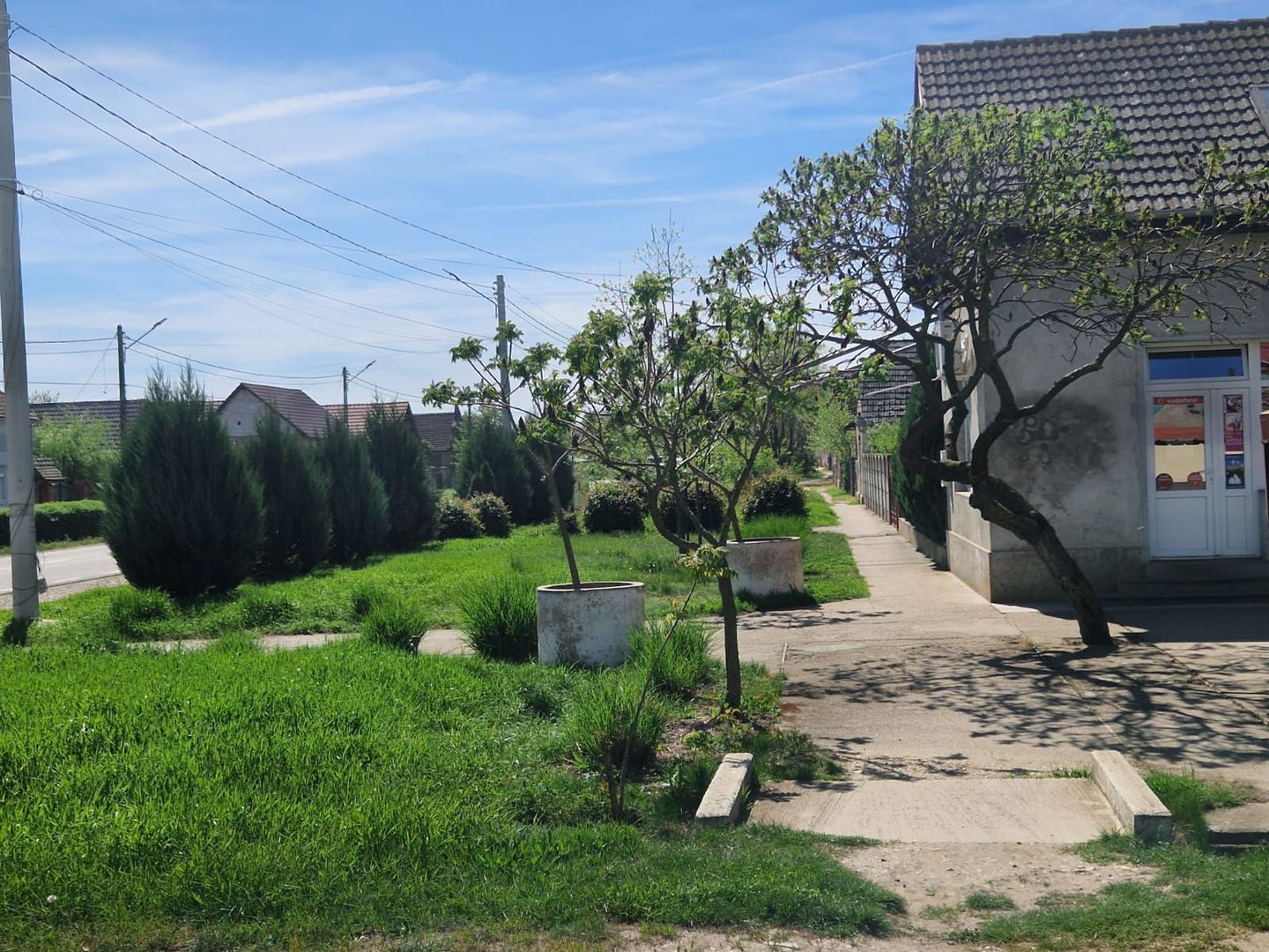 Spațiu comercial | DN69  | comuna Pesac | 50 km de Timișoara - Poză 4