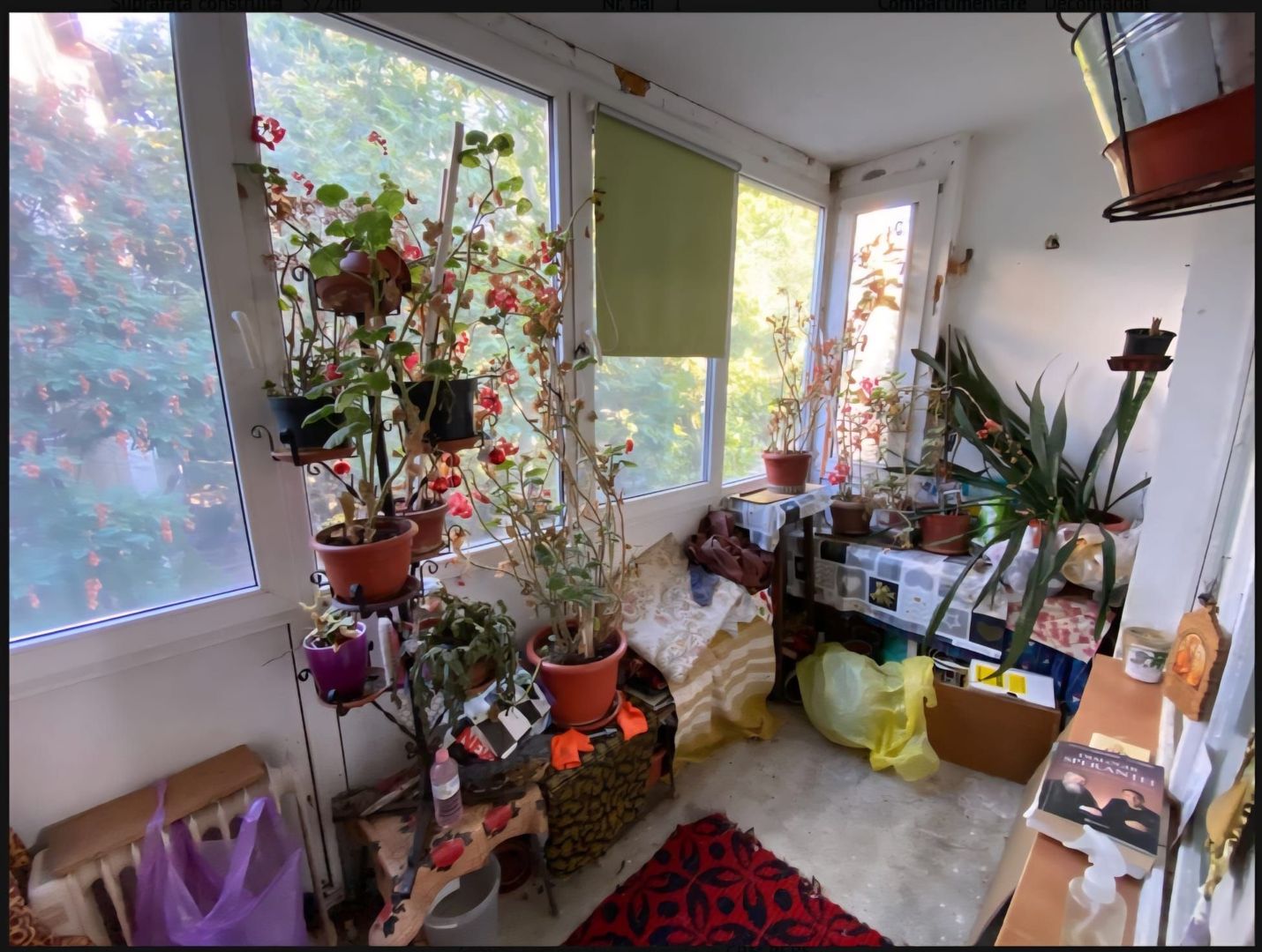 Soarelui-Gen. 30 | 1 Cameră | Etaj 2 | Centrală proprie | Balcon - Poză 5