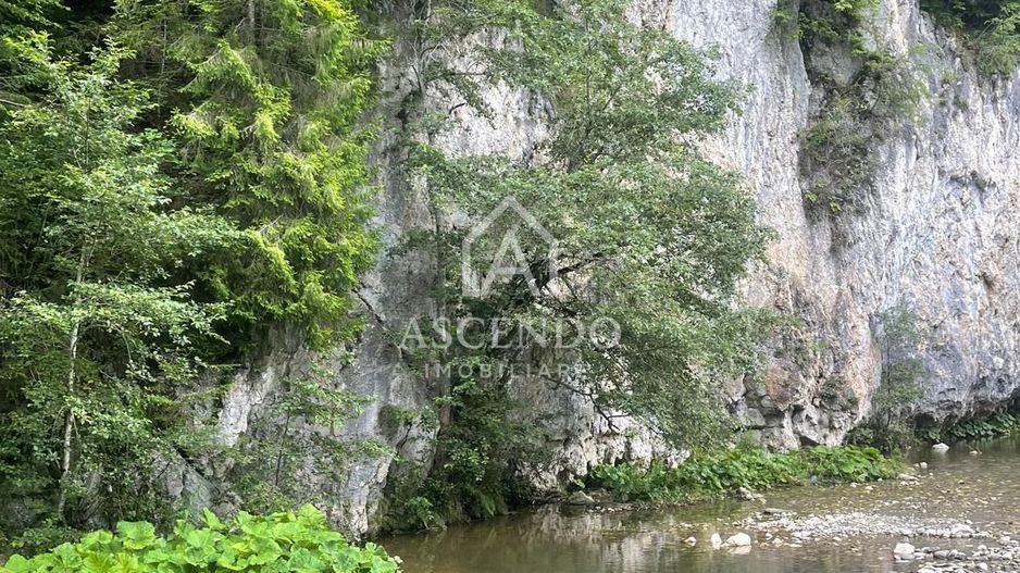 Teren pentru investiție turistică în Dâmbovicioara – Baranga | 4.500 mp | Front ~102 ml - Poză 21