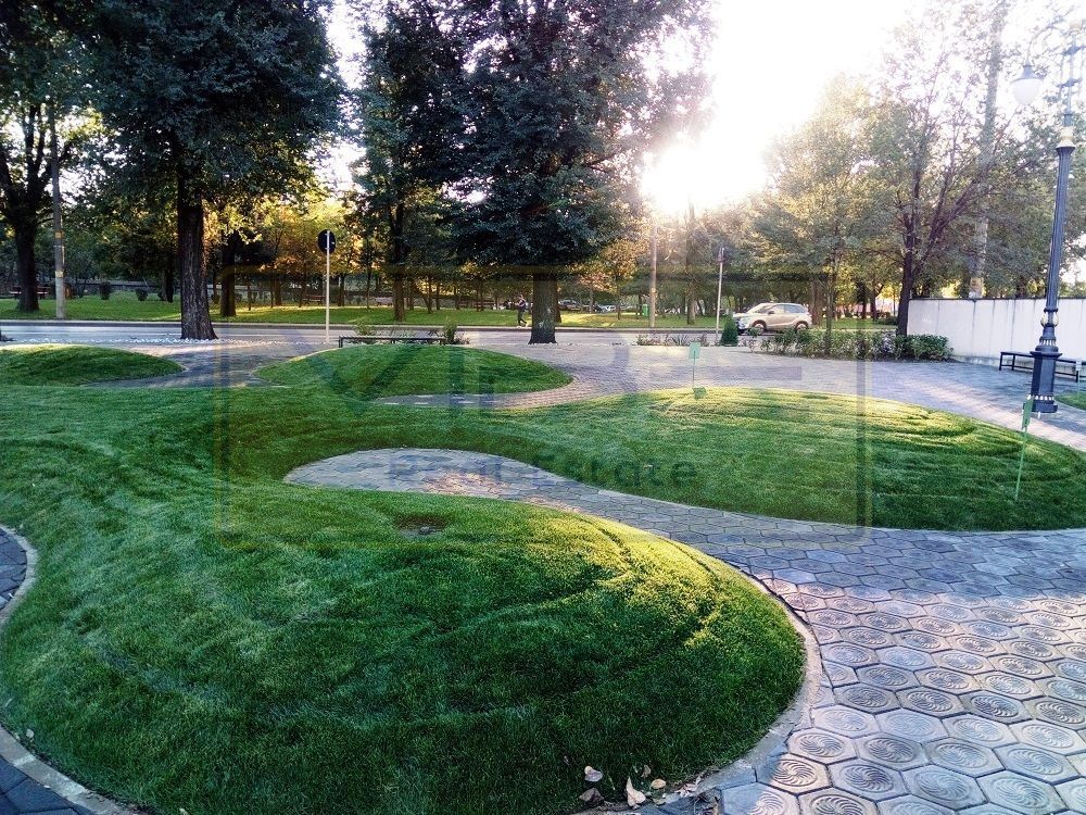 Apartament 2 camere decomandat zona Podul de Fier - Poză 23