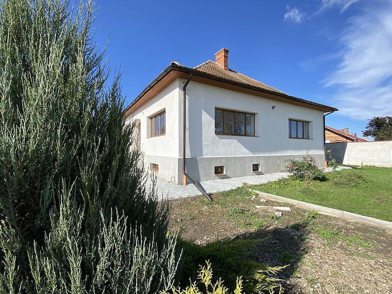 Domeniu de 9000 mp - Ideal pentru Dezvoltare Imobiliară sau Business de Lux! - Poză 11