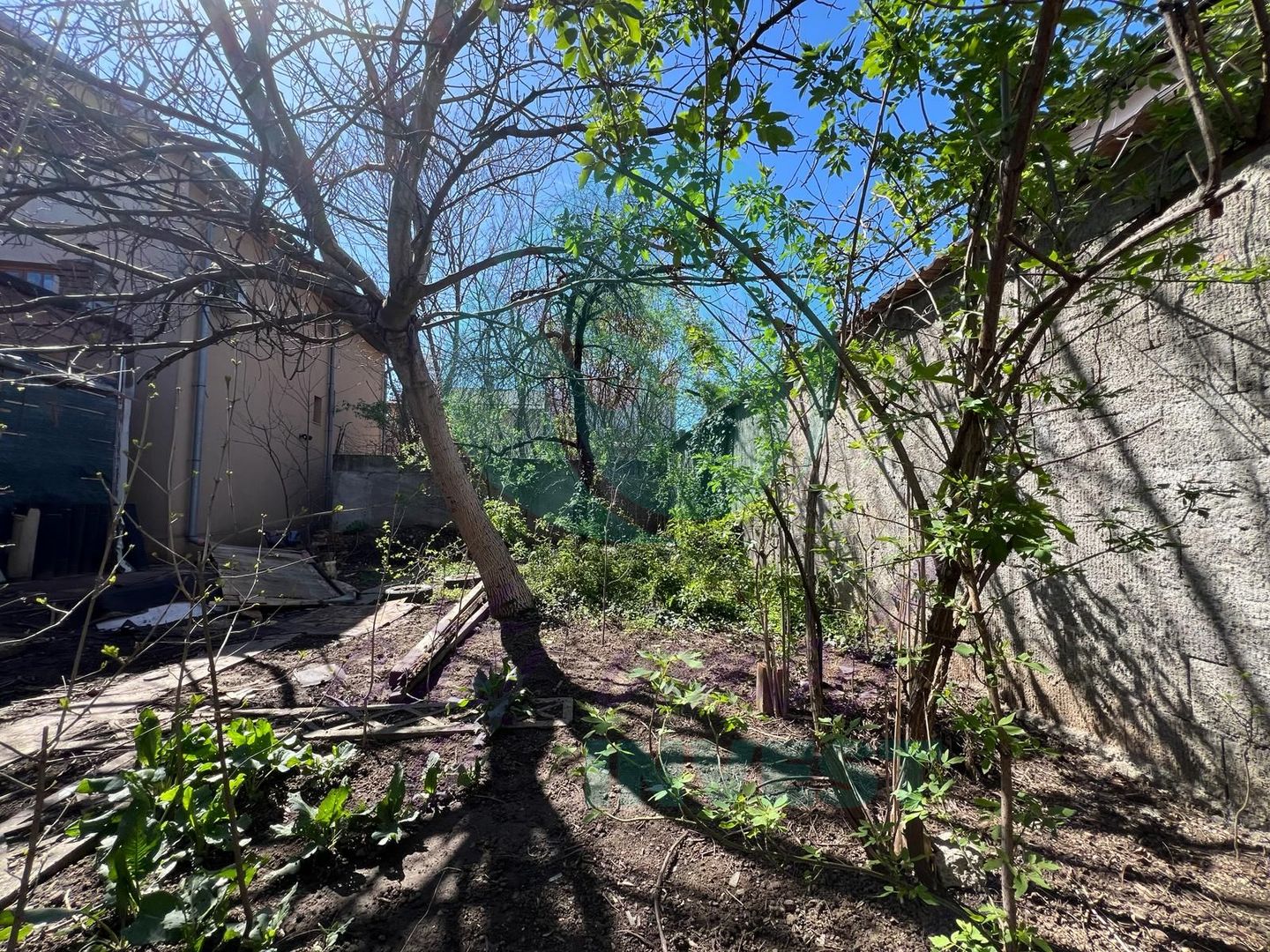 TEREN SPATIOS 458 MP | VILA P+1+Pod LA GRI- LANGA METROU BRANCOVEANU - Poză 5