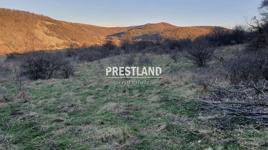 Teren 46.300 mp-zona Gușterița!! - Poză 6
