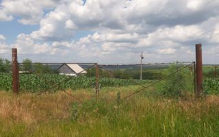 Teren cu spații industriale sau depozitare - Poză 6