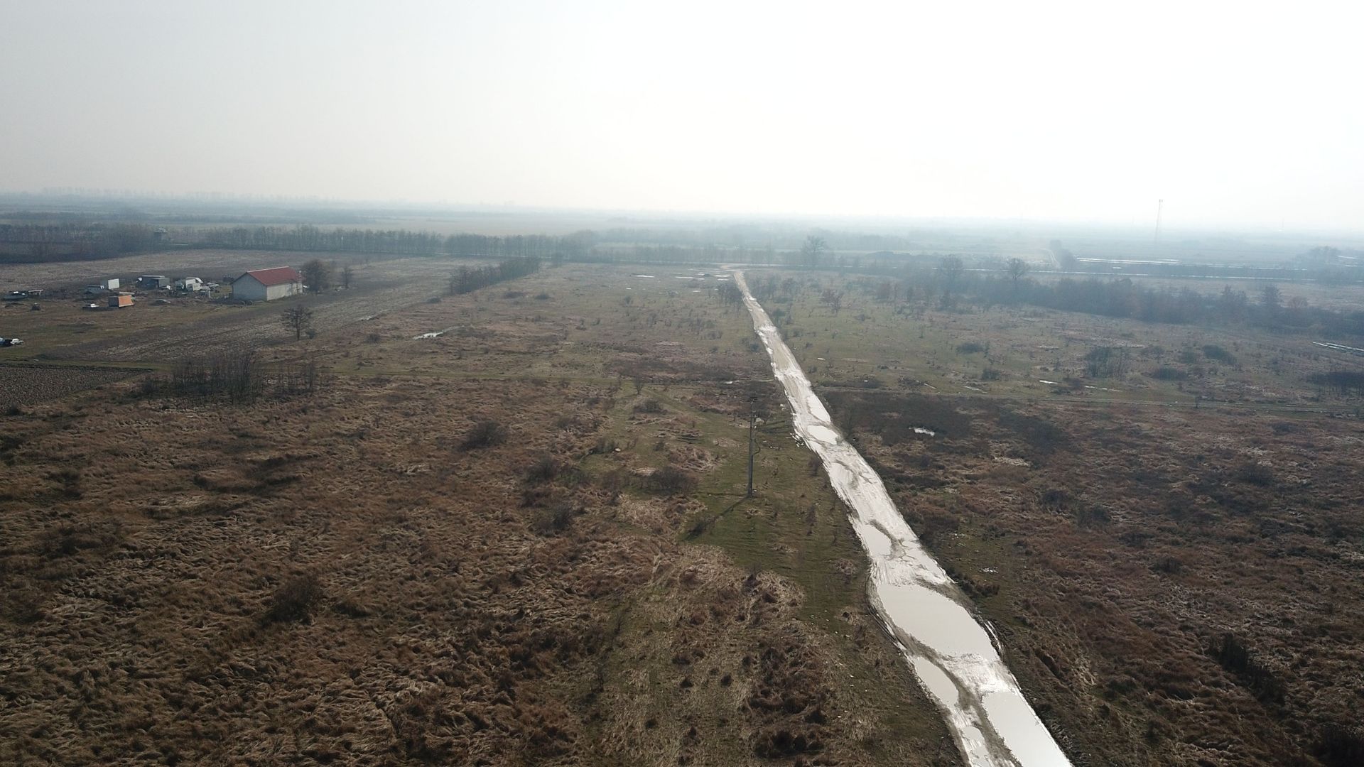 Teren Mosnita Noua - Albina - Poză 7