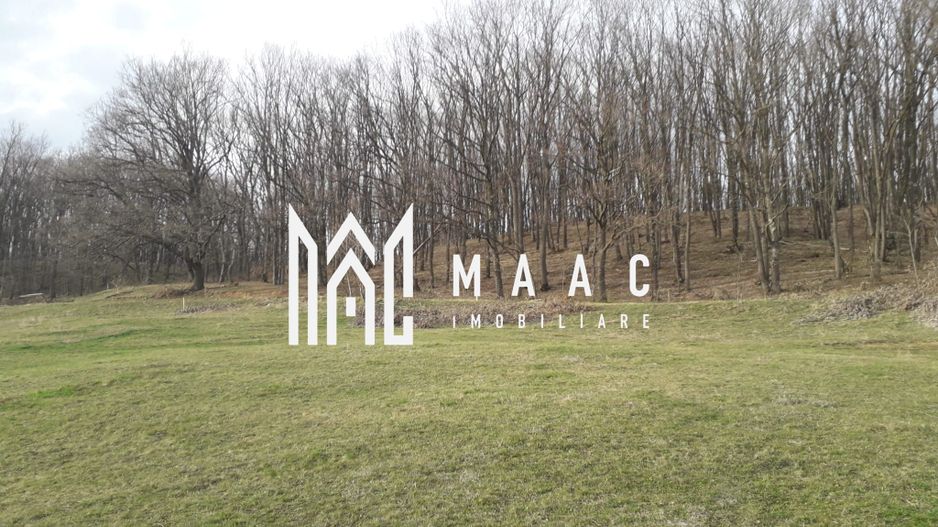 Teren Extravilan 4.572mp | Zonă liniștită | Sadu - Poză 9