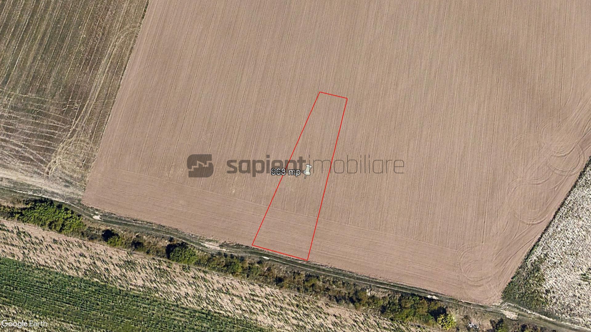 Sapient | Pachet de 4 terenuri în zona Grigorescu - Poză 6