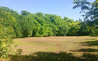 Teren intravilan în centrul localității Cârniceni - Poză 1