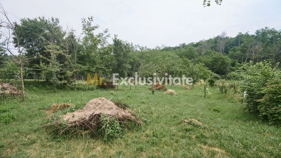 Teren 2240 mp intravilan + casa batraneasca Hintesti-Basangesti - Poză 8