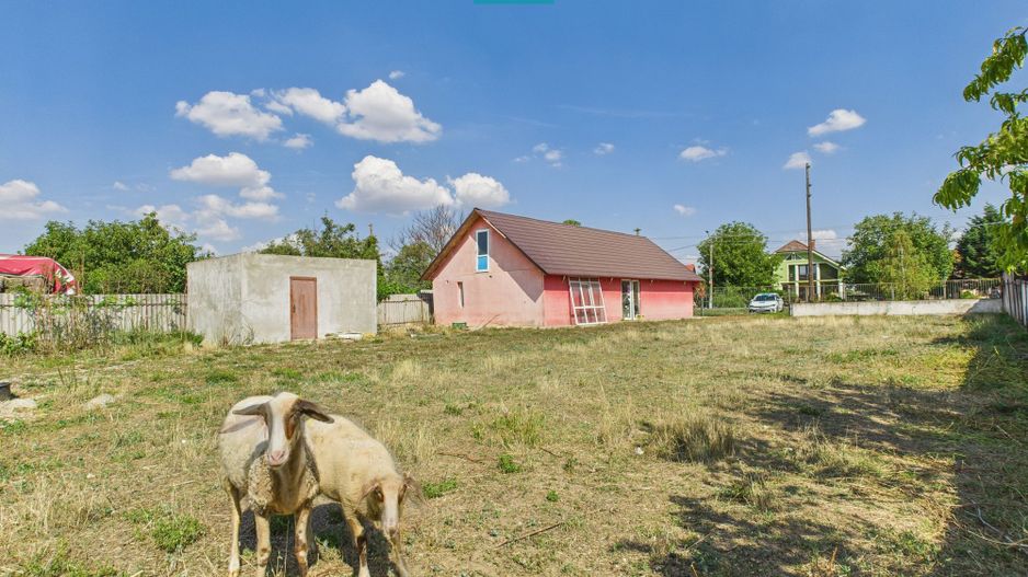 Casă/spațiu comercial pe DN79 în Zimandu Nou - Poză 7