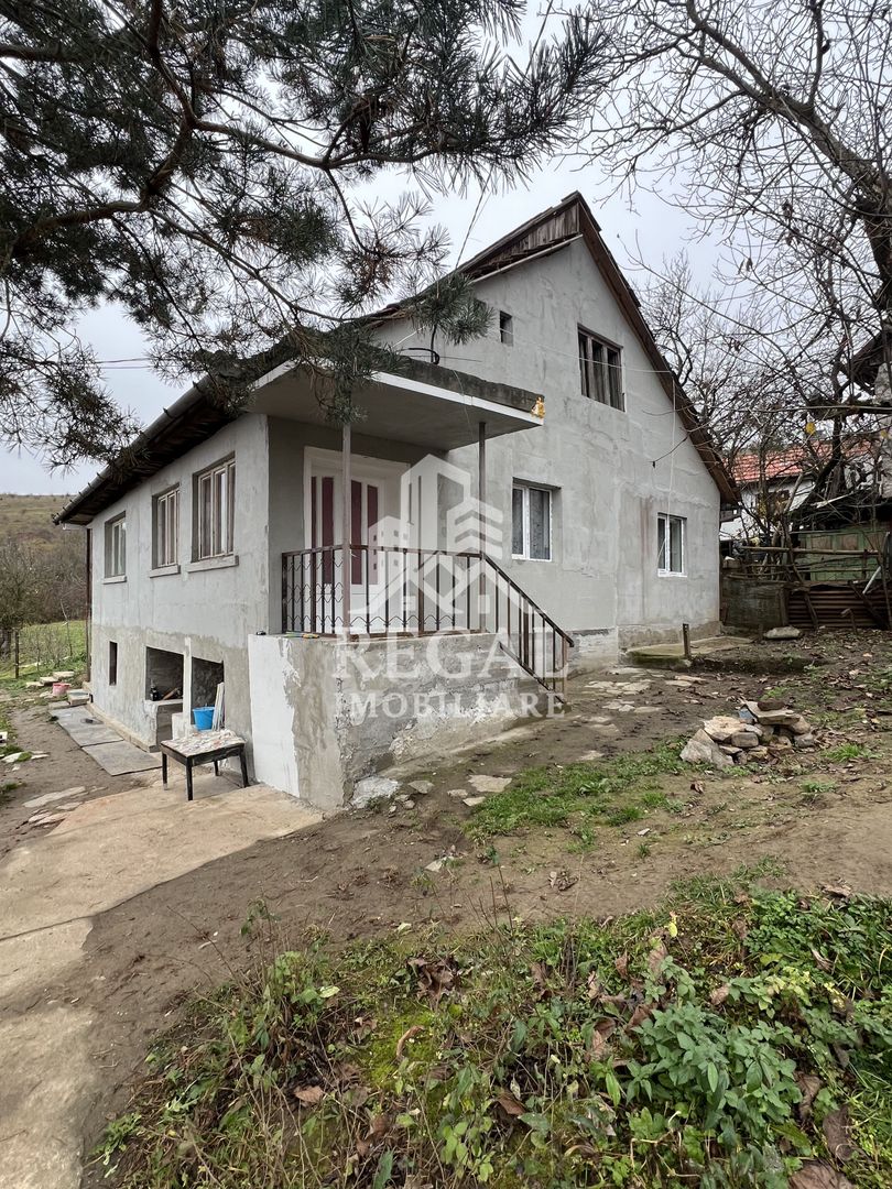 Două case individuale de vânzare în Teliuc –ideale pentru două familii - Poză 17