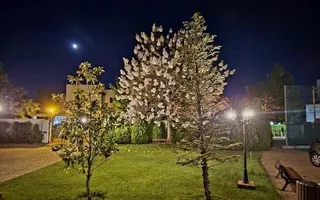 Vilă London Residence Pipera | 5 dormitoare | 450 mp - Poză 13