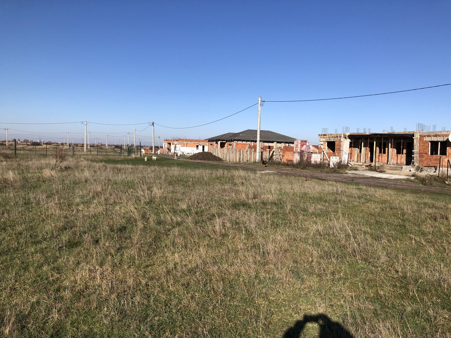 Teren / zona ALBINA-2FS-str  Cotnari - Poză 1