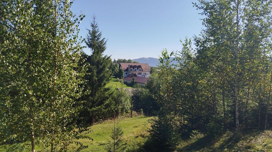 Pensiune + fermă piscicolă (sturion/caviar) | Saru Dornei/Sarisor - Poză 14