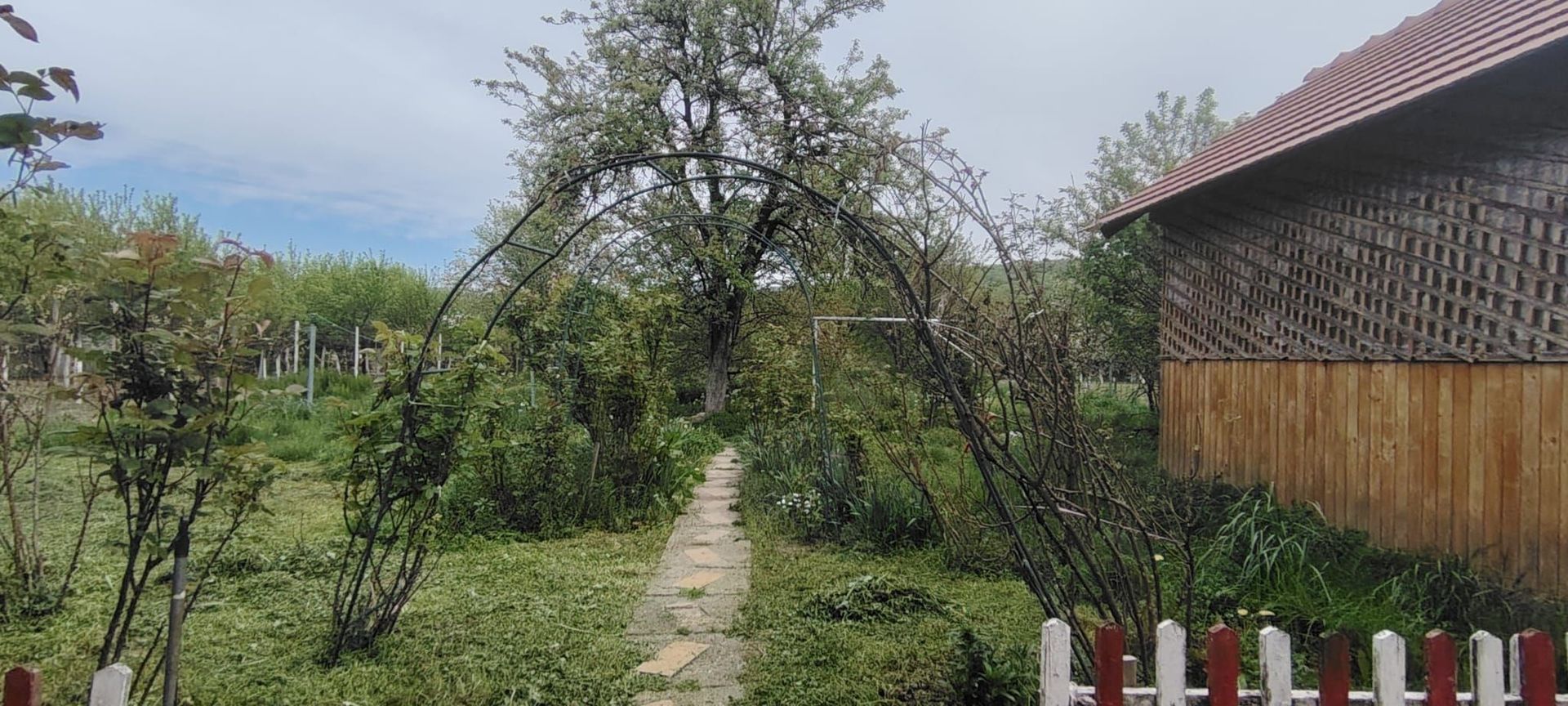 DE VANZARE CASA 5CAMERE ZONA CENTRALA TALMACIU - Poză 42