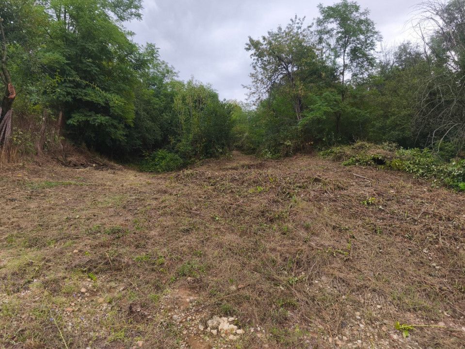 Teren 2552 mp, panorama superba Mosoaia Hintesti -Strada  Basangesti - Poză 2