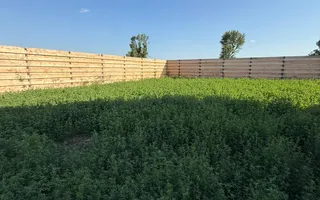 Case individuale -Comana Giurgiu situat langã Lacul Comana - Poză 17